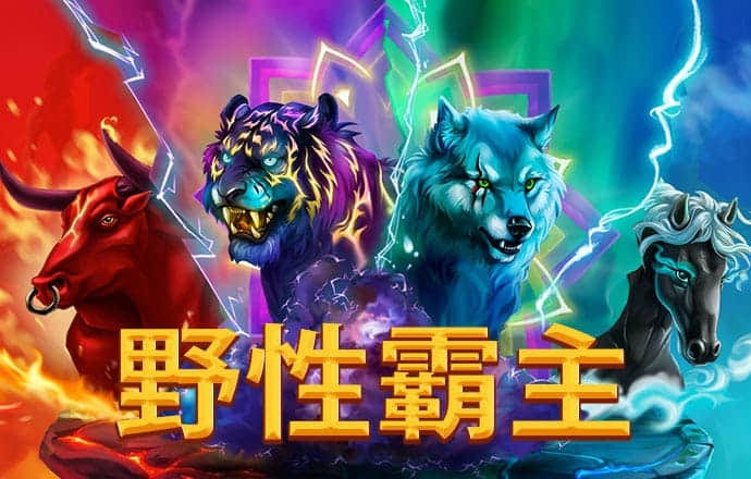 d3体育官网